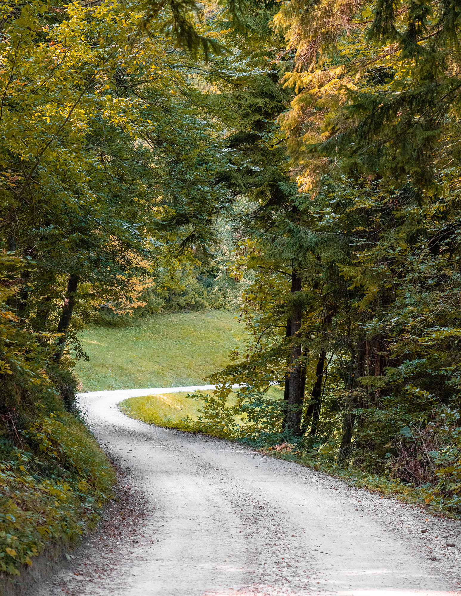 September 29, 2018 - Zasavska Sveta gora: Photo from a hike from Vace to Zasavska Sveta gora in Slovenia - a forest path leading from Vace to Zasavska Sveta gora.